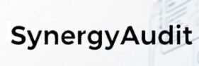Synergy Audit